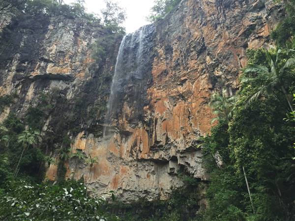 Purling Brook Falls - Springbrook National Park (10/12/2015 - Credits: Neil McGregor)
