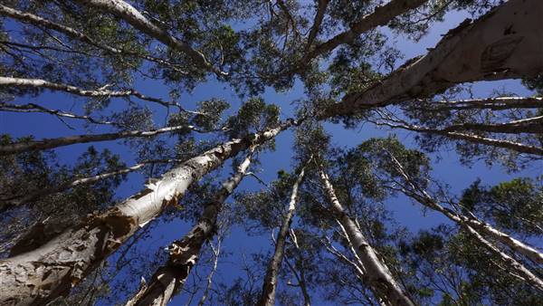 Gold Coast - Coombabah Lakelands (24/11/2016 - Credits: Neil McGregor)