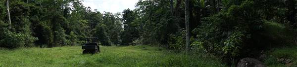 Hinterland Jungle Backlot (10/02/2017 - Credits: Neil McGregor)
