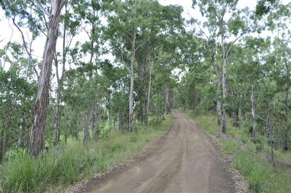 Dirt Road / Wilderness / Pastures (3/04/2017)