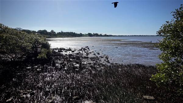 Redland Bay Marina - Ferry Terminal (22/05/2017 - Credits: Neil McGregor)