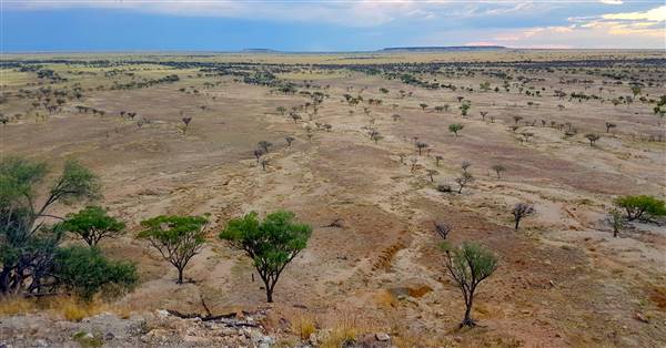 Winton Hills (5/06/2017 - Credits: John Elliot)