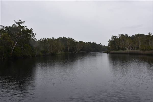Harrys Hut Area (Noosa Everglades) (7/07/2017 - Credits: Kathryn Metcalfe)