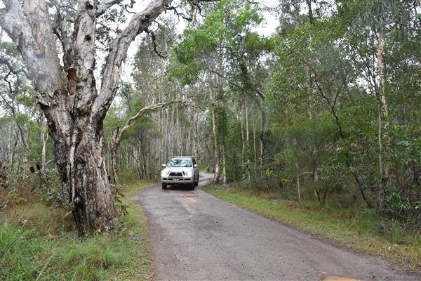 Harrys Hut Area (Noosa Everglades) (7/07/2017 - Credits: Kathryn Metcalfe)