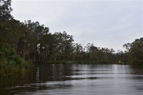 Fig Tree Point (Noosa Everglades) (13/07/2017 - Credits: Kathryn Metcalfe)