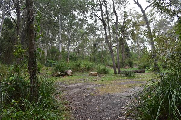 Fig Tree Point (Noosa Everglades) (13/07/2017 - Credits: Kathryn Metcalfe)