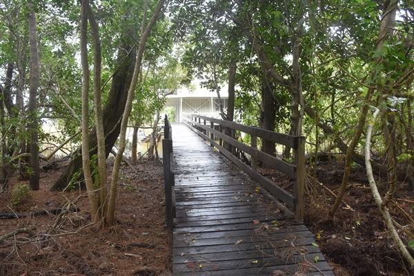 Noosa Everglades - Kinaba Information Building (13/07/2017 - Credits: Kathryn Metcalfe)