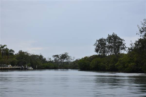 Noosa Everglades - Tewantin Docks (13/07/2017 - Credits: Kathryn Metcalfe)