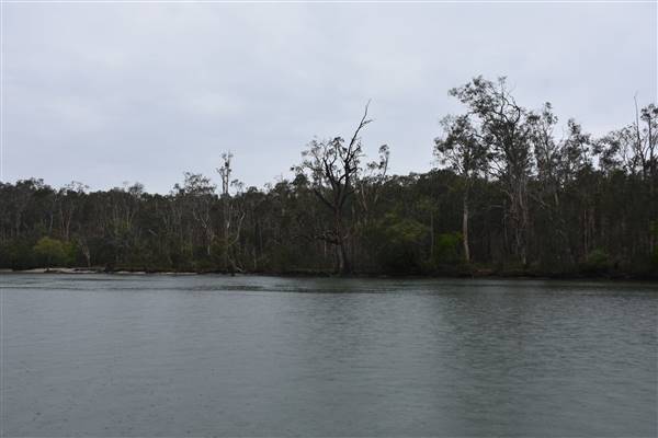 Noosa Everglades - Makepeace Island (13/07/2017 - Credits: Kathryn Metcalfe)