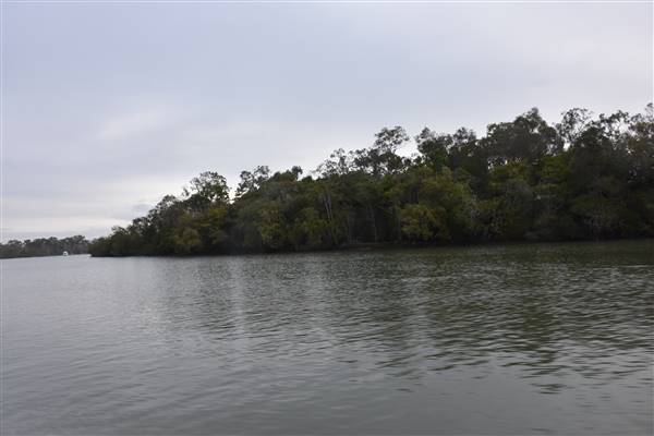 Noosa Everglades - Makepeace Island (13/07/2017 - Credits: Kathryn Metcalfe)
