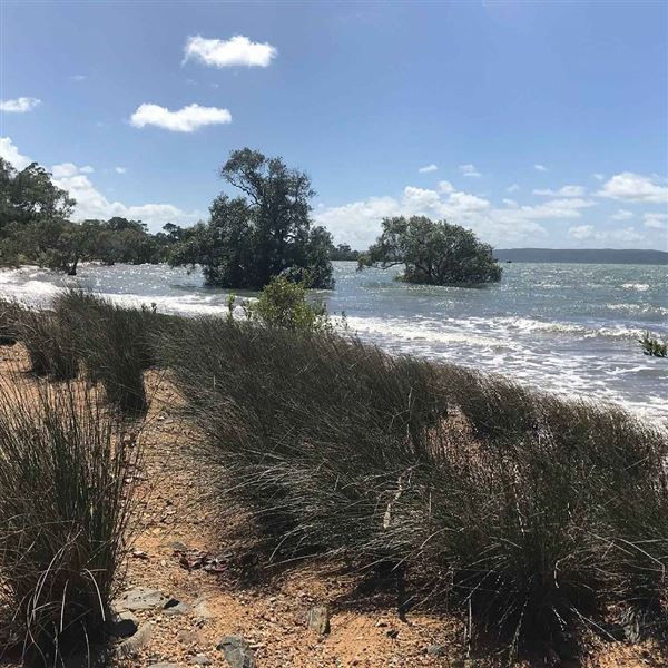Macleay Island (9/07/2018 - Credits: unknown)