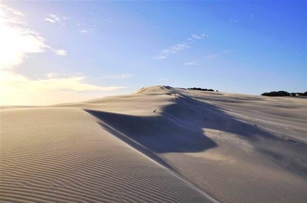 Mulgumpin (Moreton Island) - Big Sand Hills (11/04/2015 - Credits: Angus Ledgerwood)