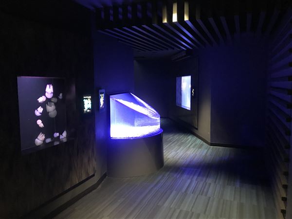Sea Jelly Exhibit & Research Laboratory - Sea World Gold Coast (11/03/2019 - Credits: unknown)