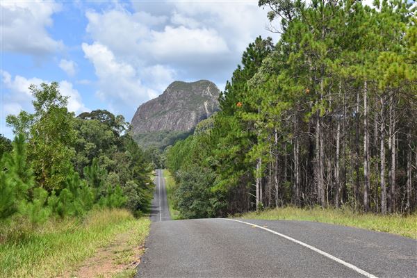 Marshs Road - Mt Tibrogargan (b/g) (15/03/2019 - Credits: Kathryn Metcalfe)