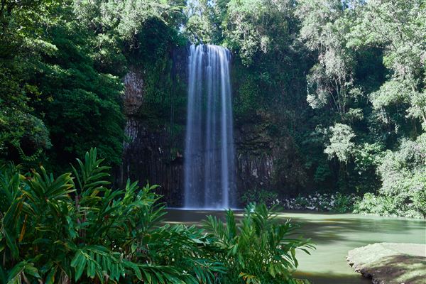 Millaa Millaa - Township (3/02/2020 - Credits: John de Rooy, Atherton Tableland Photography)