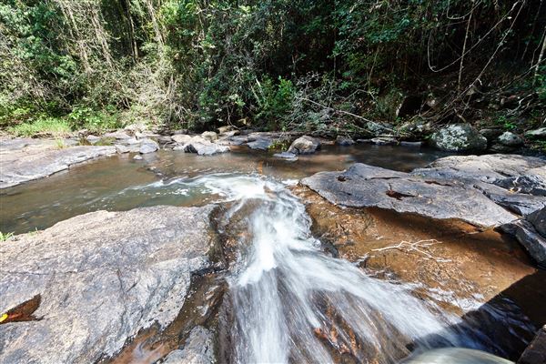 Mount Hypipamee National Park (10/02/2020 - Credits: John de Rooy, Atherton Tableland Photography)