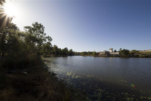 Spring Lake Park (11/05/2020 - Credits: Ipswich City Council)