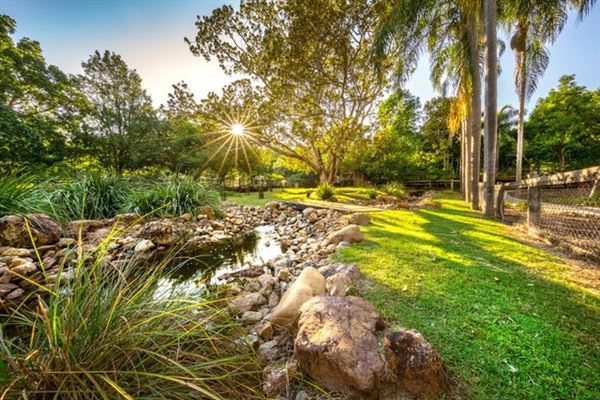 Ipswich Nature Centre (1/06/2015 - Credits: Ipswich City Council)
