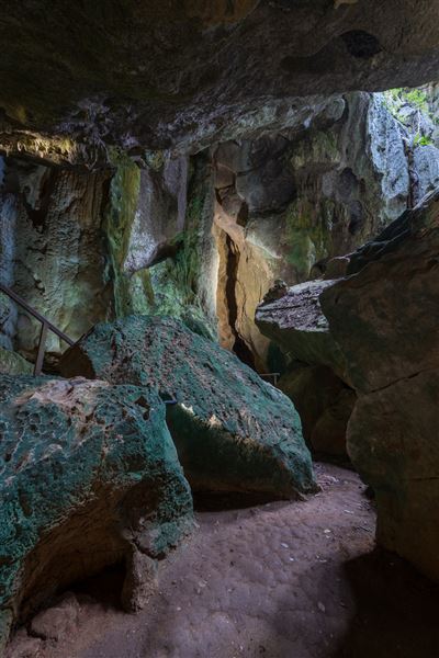 Capricorn Caves (1/07/2020 - Credits: Capricorn Caves)