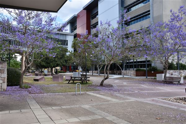 University of Southern Queensland / Springfield Campus - Exteriors (26/10/2020 - Credits: Kathryn Metcalfe)