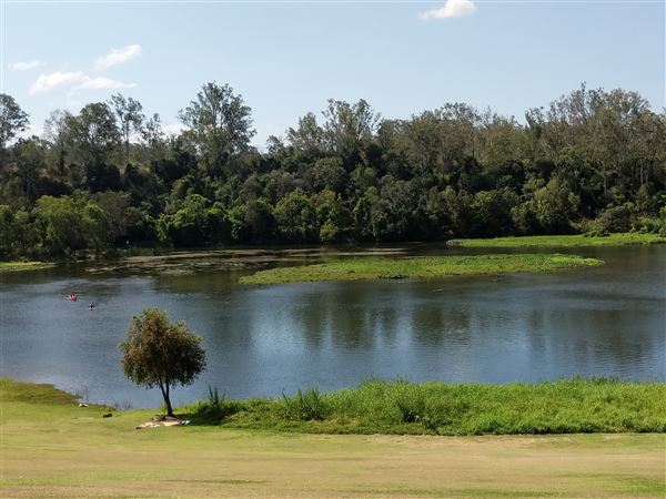Parkland on the River - Colleges Crossing Recreation Reserve (20/09/2021 - Credits: Kathryn Metcalfe)
