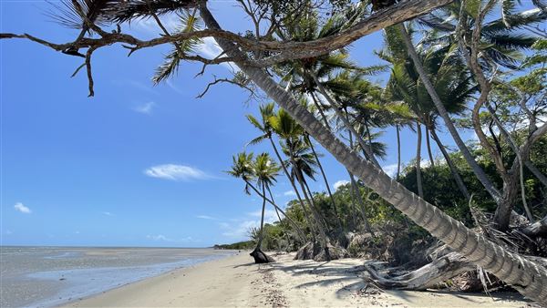 Four Mile Beach / southern end (15/12/2021 - Credits: Courtesy of Karen Jones)