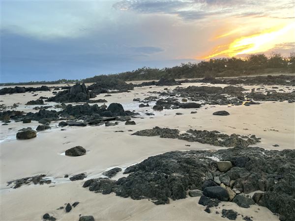 Campwin Beach (South) (26/10/2021 - Credits: Kathryn Metcalfe)