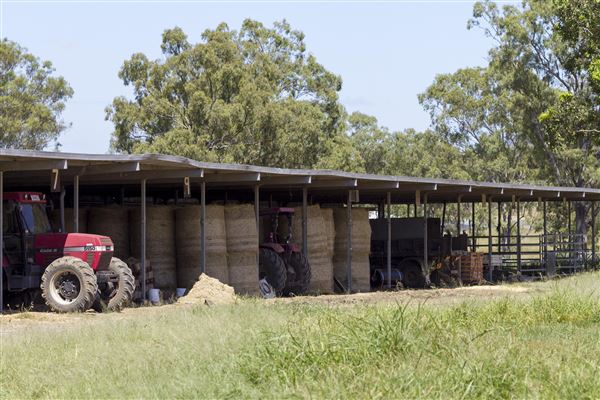 Summer Land Camel Farm (20/10/2021 - Credits: Ipswich City Council)