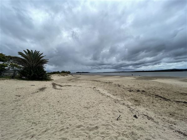 Cabbage Tree Point (6/10/2022 - Credits: Dugald McMasters)