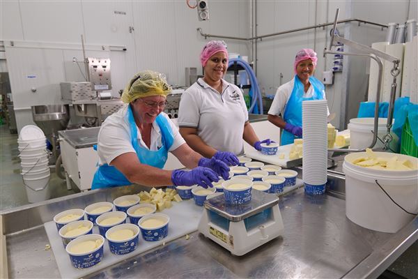 Mungalli Creek Bio-Dynamic Dairy (4/02/2023 - Credits: John de Rooy, Atherton Tableland Photography)