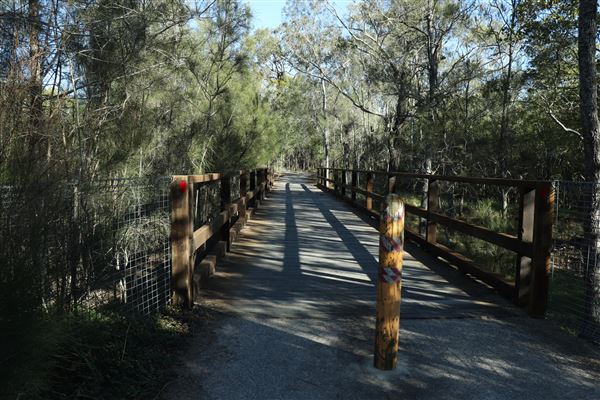 Epapah Creek - Karl's Pier track (8/05/2023 - Credits: Screen Queensland)
