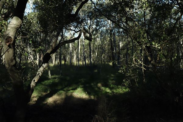 Epapah Creek - Karl's Pier track (8/05/2023 - Credits: Screen Queensland)