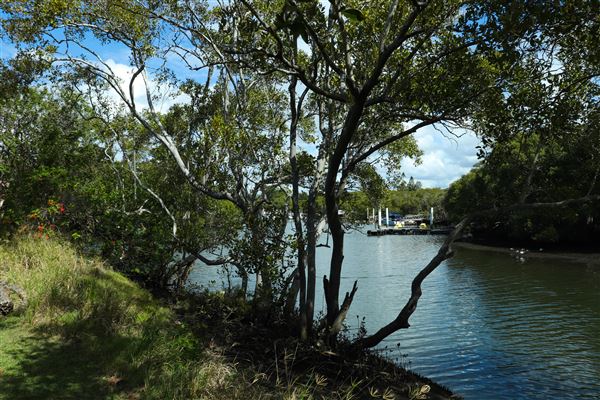 Curlew Park - Cabbage Tree Creek (11/05/2023 - Credits: Screen Queensland)