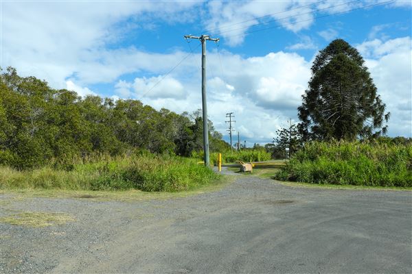 Curlew Park - Cabbage Tree Creek (11/05/2023 - Credits: Screen Queensland)