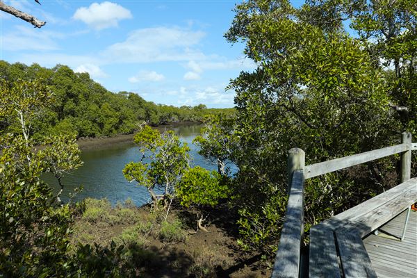 Nudgee Beach Wetlands Reserve (11/05/2023 - Credits: Screen Queensland)
