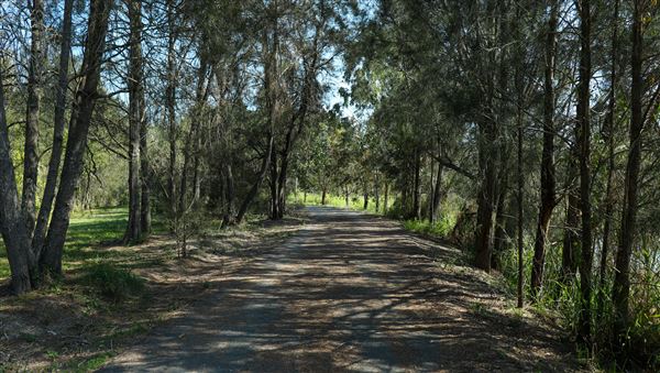 118 Green Camp Rd (31/05/2023 - Credits: Screen Queensland)