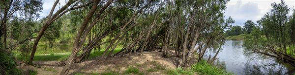 Pocket Retreats (28/03/2023 - Credits: Ipswich City Council)