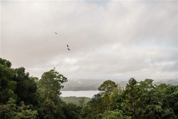 Montville - Misty View Cottages (12/03/2025)