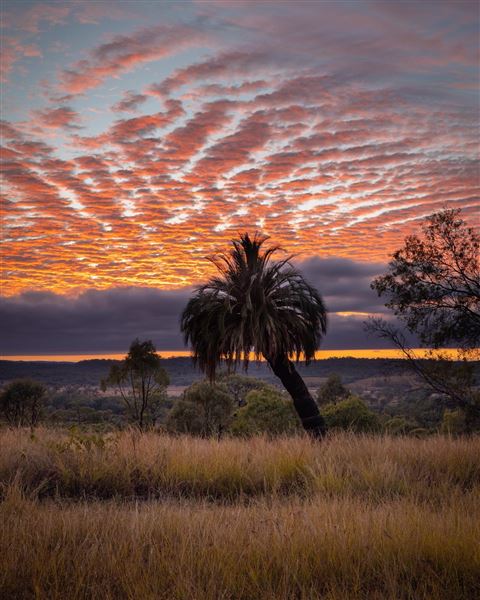 Sandstone Park Carnarvon Gorge (23/03/2025 - Credits: submitted by: Melanie Wheatley)