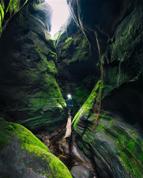 Sandstone Park Carnarvon Gorge (23/03/2025 - Credits: submitted by: Melanie Wheatley)