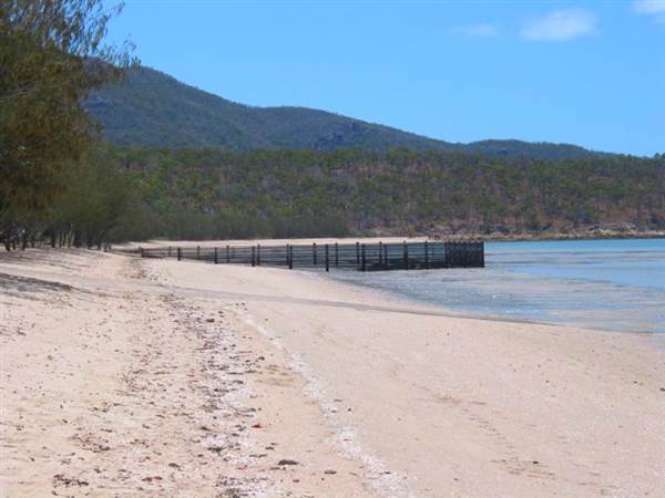 Dingo Beach (1/10/2007)