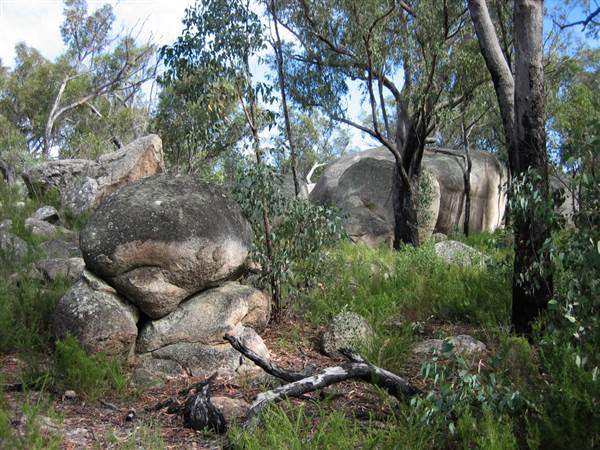 Warwick Region - Girraween National Park (25/09/2006)