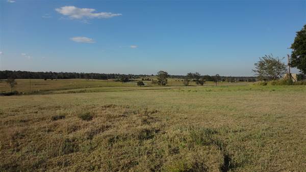 Jimboomba Turf Farm (29/08/2013)