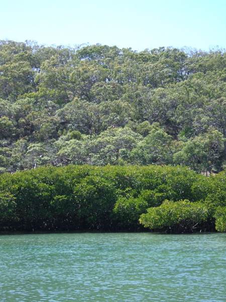 Great Keppel Island - Wop-Pa - Leekes Beach & Creek (31/08/2006)