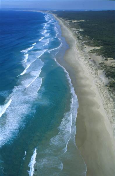 Mulgumpin (Moreton Island) (14/05/2009)