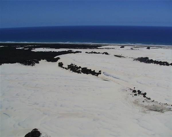 Mulgumpin (Moreton Island) (14/05/2009)