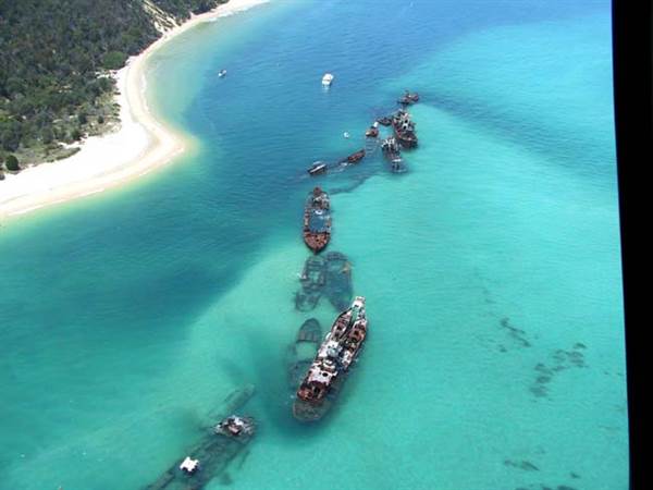 Mulgumpin (Moreton Island) (14/05/2009)