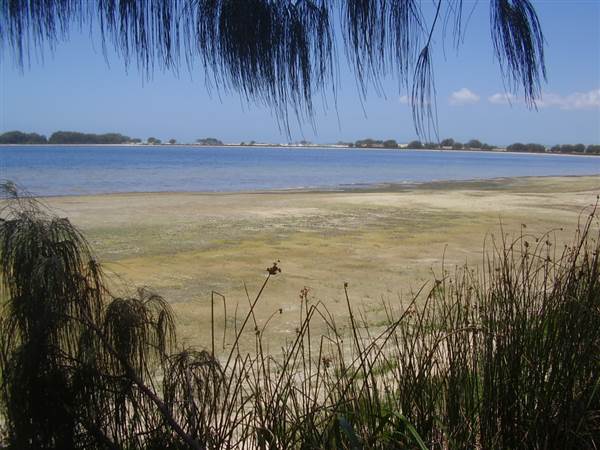 Mulgumpin (Moreton Island) (14/05/2009)