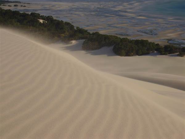 Mulgumpin (Moreton Island) (14/05/2009)