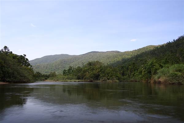 Mulgrave River (Cairns Region) (25/09/2007)